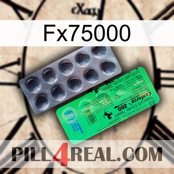 Fx75000 new04.jpg